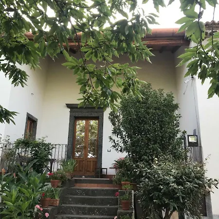 Sole Di Sicilia * Randazzo