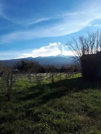 Sole Di Sicilia